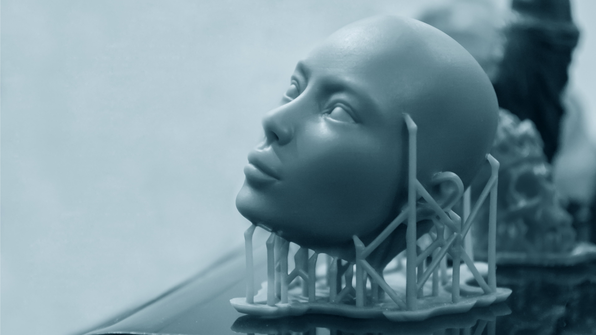 Garden Route 3D Printing Break image